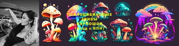 молекула духа Алексеевка
