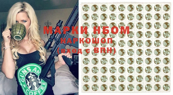 хмурый Алзамай