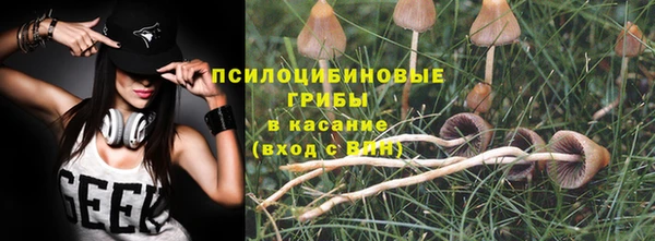 героин Алексин